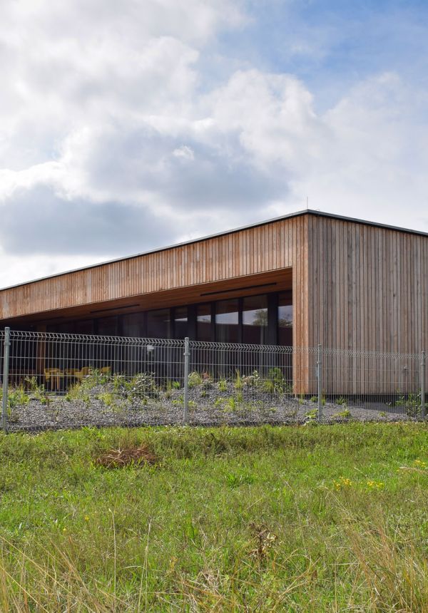 Holz beim Hausbau